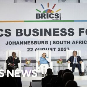 BRICS Summit underway in Johannesburg without Putin