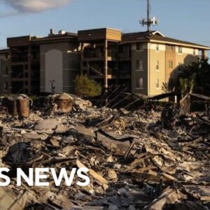 Watch Live: Hawaii governor gives update on Maui wildfire response | CBS News