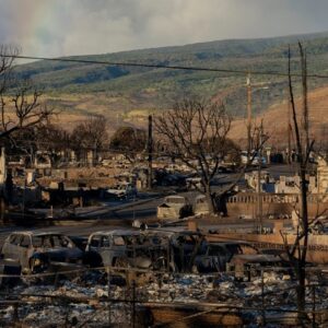 Hawaii wildfire recovery complicated by state of remains