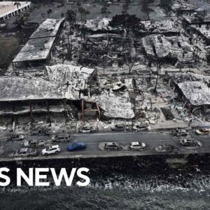 Maui fires' destruction in Lahaina captured in videos