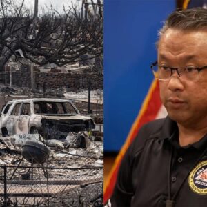 Maui official asked if he regrets not sounding sirens amid wildfires