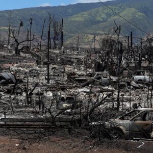 Maui wildfire caused by "compound disaster," Washington Post finds