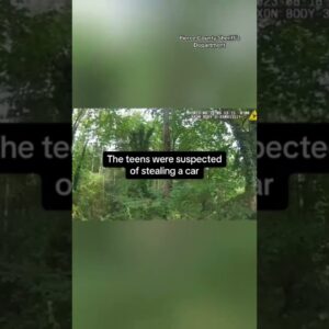 Cop barks like a dog to get teens suspected of stealing car to surrender #shorts