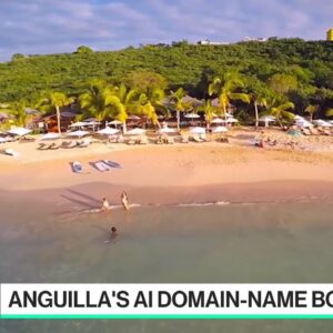 Anguilla's Domain-Name Bonanza