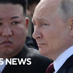 What Kim Jong Un and Vladimir Putin want from each other