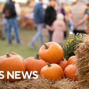 What to known when booking fall trips