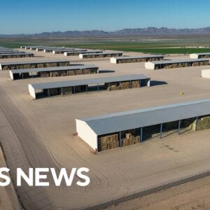 Arizona governor moves to end farming deal with Saudi company