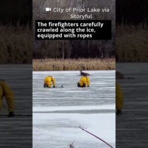 Minnesota firefighters rescued a deer stranded on a frozen lake #shorts