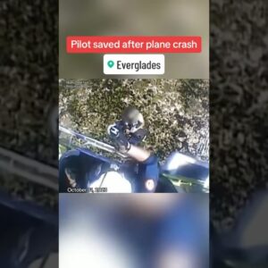 Pilot saved after plane crashes into Florida Everglades #shorts