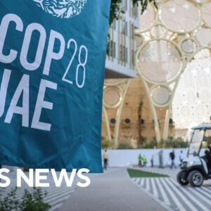 What to know about the COP28 climate summit