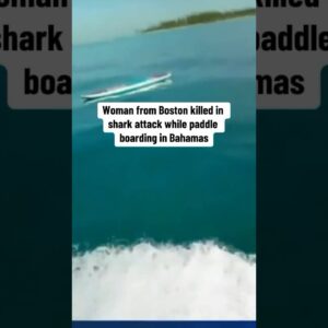 Boston woman dies after shark attack in Bahamas #shorts