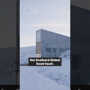 Inside the doomsday seed vault #shorts
