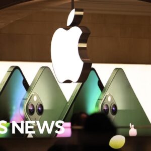 Just 7 companies drove S&P 500's growth in 2023