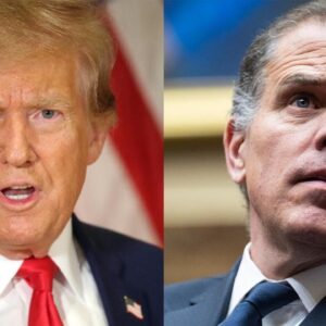 Tracking Trump and Hunter Biden's court cases