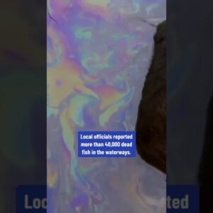 East Palestine train derailment, 1 year later #shorts