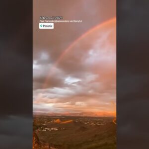 Phoenix gets rainbow sunset #shorts