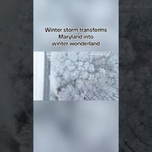 Storm transforms Maryland into winter wonderland #shorts