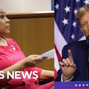 How will Fani Willis ruling impact Trump's campaign? Political strategists weigh in