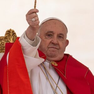 Pope Francis skips homily during Palm Sunday mass