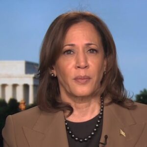 Vice President Harris on Israel, immigration, TikTok and more