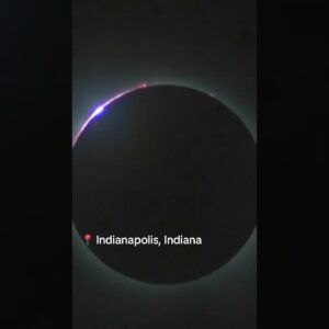 Eclipse reactions from across U.S. #shorts