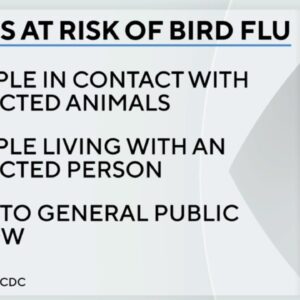 Human contracts bird flu for second time ever in U.S.