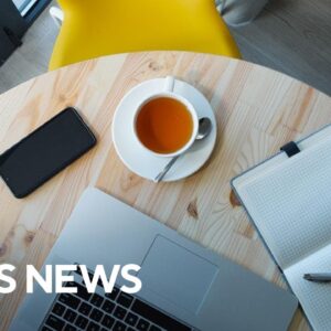 Why has hiring plunged for white-collar jobs?