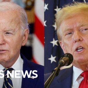 Investigating the anonymous donations fueling presidential races