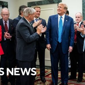 Political strategists on Trump's return to Capitol Hill for first time since Jan. 6 attack