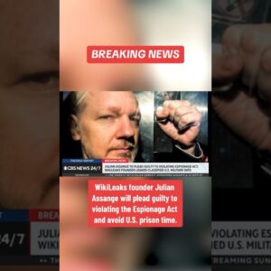 WikiLeaks founder Julian Assange to plead guilty to violating Espionage Act #shorts