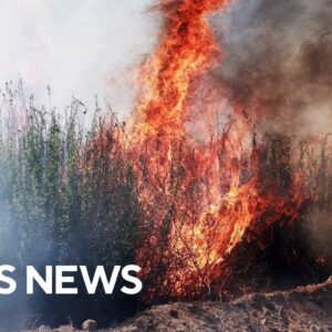 Videos show Post Fire burning near Los Angeles fueled by gusty winds