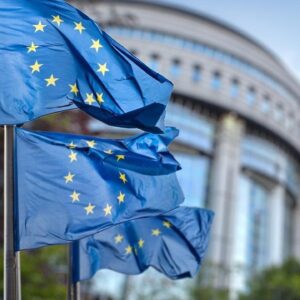 What far-right victories could mean for EU Parliament