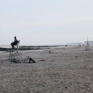 Why do shark attacks happen and how common are they?