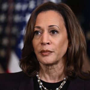 How does the vice presidential vetting process work?