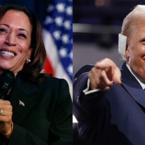 GOP, Democratic strategists on potential Harris-Trump matchup, Biden decision to drop out