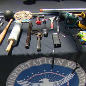 Surprising items passengers try to bring in carry-on luggage revealed by TSA