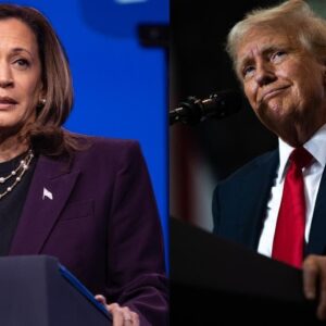 Trump, Harris hit 2024 campaign trail in new election phase