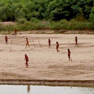 Video shows reclusive tribe searching for food on beach in the Amazon