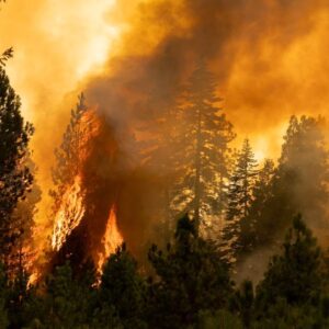 Videos show Park Fire's destruction in Northern California