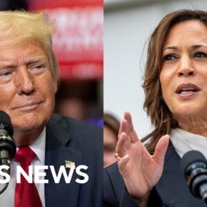 What polls say about a Trump-Harris matchup