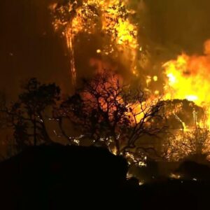 Wildfires in the western United States