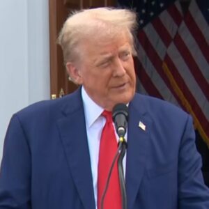 8/15: America Decides