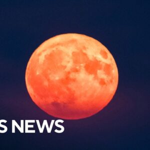 Blue supermoon that can be seen across world visible this week