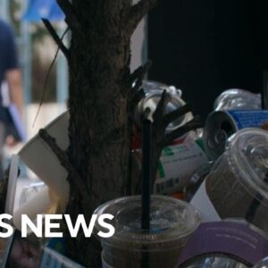 Is plastic recycling a myth?