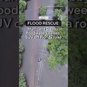 Motorist rescued from Hurricane Debby floodwaters in Florida #shorts
