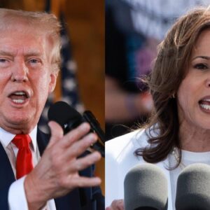 Harris rally in Arizona, Trump in Montana to campaign after 2024 election debate news