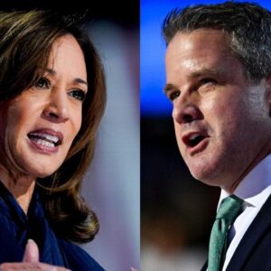 Kamala Harris DNC speech vision, Republican Adam Kinzinger says country comes first