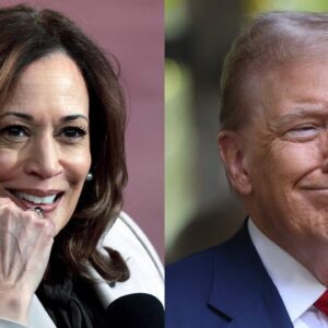 How to navigate polls as Election Day draws nearer