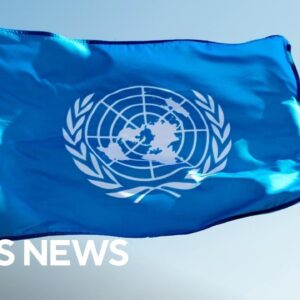 U.N. panel urges global cooperation on AI