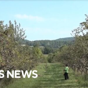 National Farmer's Day presented by Land O'Lakes | The Uplift